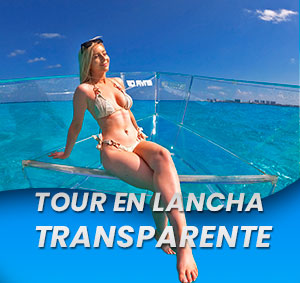 Tour en Bote Transparente en Cozumel